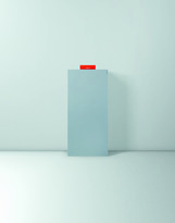 Vitocrossal 300 19 kW Viessmann