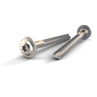 Skrutka s tanier. hlavou 8,0x100 (21ks) Viessmann