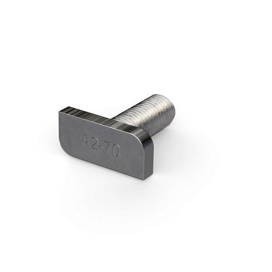 Skrutka s T-hlavou M8x20 Viessmann